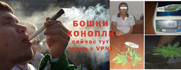 стаф Зеленодольск