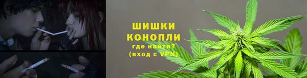 прущие крисы Зеленокумск