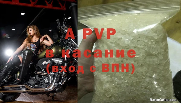 прущие крисы Зеленокумск