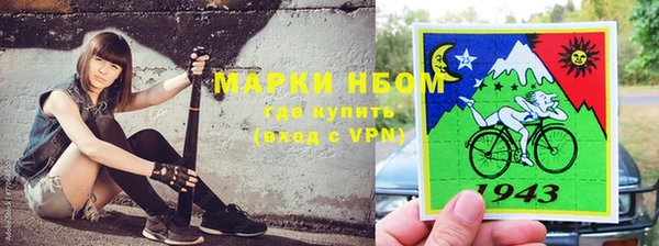 прущие крисы Зеленокумск