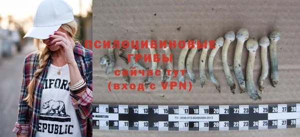 стаф Зеленодольск