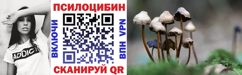 что такое   Новая Усмань  Галлюциногенные грибы GOLDEN TEACHER 