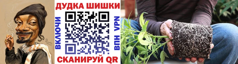 Канабис план  Новая Усмань 